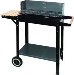 MASTER GRILL Ogļu grils MG909 53