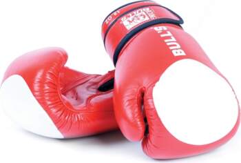 BULLS TT-2001