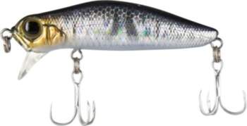 Jackson Dead Float 60 HSB