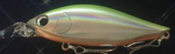 ZipBaits ZBL Devil Flatter 77S #205