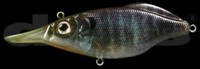 DEPS F-Sonic  (14)