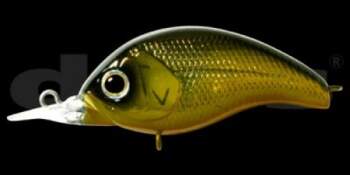 DEPS Korrigan 53F-SR (01)