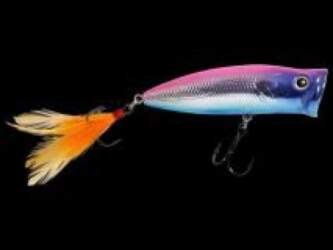DEPS PulseCod (19)