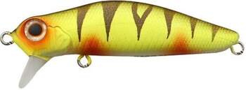 Jackson Dead Float 60 PER