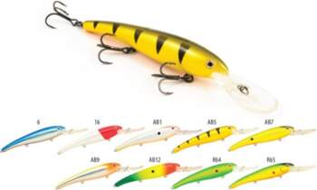 Raiden Deep Killer 120 # AB5