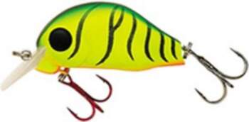 Jackson Cabua 50 FTG
