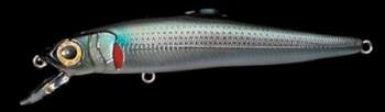 Megabass Edonis gg bora