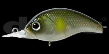 DEPS Korrigan 53F-SR (04)