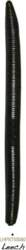 Lunker Stik 5" Leech
