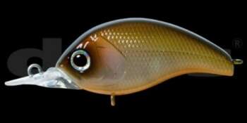 DEPS Korrigan 53F-SR (06)