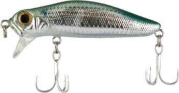 Jackson Dead Float 60 ABO