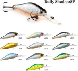 Raiden Bully Shad 70 SP AB37