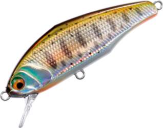 Smith LTD Smit D-Incite 53 #05