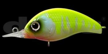 DEPS Korrigan 53F-MR (10)