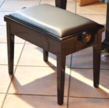 Steinway & Sons Sols (Melns, Pulēts)