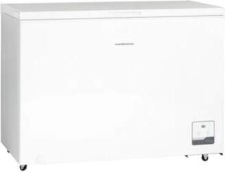 Scandomestic CF300WD