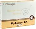 Hydrangea EX (30)
