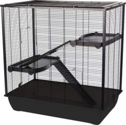 Inter-Zoo Frodo + Plastic Black -