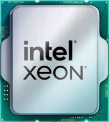 Intel Procesor serwerowy Intel Intel CPU