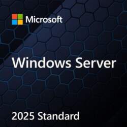 Microsoft Windows Server 2025 Standard 64bit