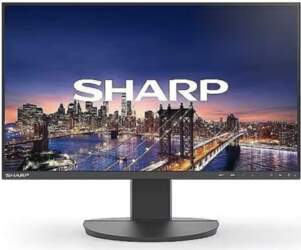 Sharp DD-EA242F BLACK 24IN IPS 1920