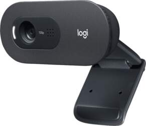 Logitech C505e