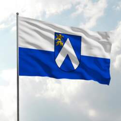 Bauskas novada karogs
