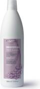 Oyster FRUIT SUBLIME Grape Extract Shampoo