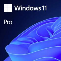 Microsoft SB Windows 11 Pro 64bit