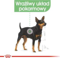 ROYAL CANIN CCN Mini Digestive Care