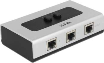 DeLOCK RJ45 Switch - gray /