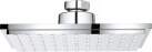 Grohe Euphoria Cube dušas galva