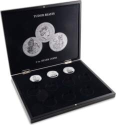 (368022) Volterra Uno - Presentation case
