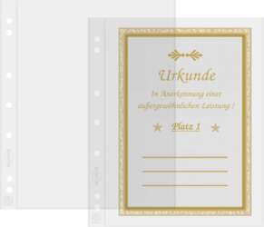 (304653) Numis plastic sheets with one