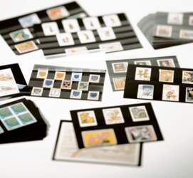 (341465) Insert cards, 3 clear strips