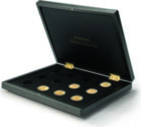 (368468) Volterra Uno - Presentation case