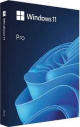 Microsoft Win Pro N FPP 11