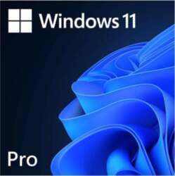 Microsoft , Windows 11 Pro , FQC-10572 , ESD