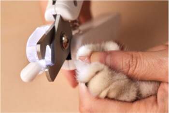 PETKIT , LED Light Nail Clipper , White