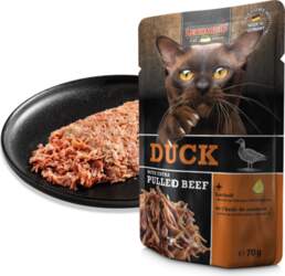 LEONARDO DUCK WITH EXTRA PULLED BEEF