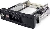 Startech 3.5 TRAYLESS SATA BACKPLANE