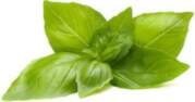 Click & Grow Smart Refill Lemon