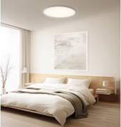 Xiaomi Smart Ceiling Light D40 |