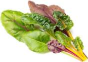 Click & Grow Smart Refill Rainbow