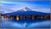 Sharp P436 43IN LFD UHD 700CD/M2