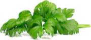 Click & Grow Smart Garden Refill