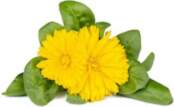 Click & Grow Smart Refill Marigold