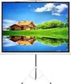 Maclean Projector screen 100`` / portable/