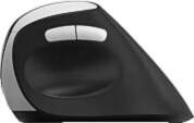 Rapoo EV250, Vertical (215045)