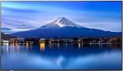 Sharp MultiSync P556 Large Format Monitor